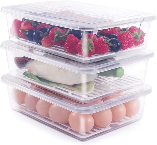 （2500ml×10個セット) | 密閉プラスチック保存容器セット｜キッチン用パントリーオーガナイザー・キッチンアクセサリー・冷蔵庫収納ボックス｜漏れ防止・耐久性・省スペース設計